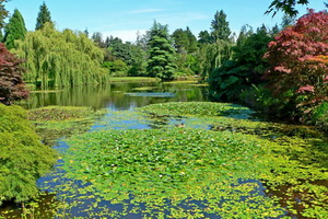 vancouver5 - Vancouver, thành phố thiên nhiên