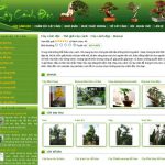 Cây cảnh độc – Thế giới cây cảnh – Cây cảnh đẹp – Bonsai – Giới thiệu web