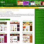 Cho thuê website – Cho thuê trang web – Website cho thuê – Giới thiệu web