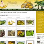 Chuối – Banana – Mua bán chuối xanh, chuối chín – Công dụng của quả chuối – Giới thiệu web