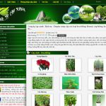 Công ty cây xanh – Dịch vụ – Chuyên cung cấp các loại hoa kiểng: Bonsai, cây kiểng, hoa trang trí… – Giới thiệu web