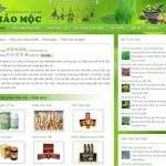 Thảo mộc – Thảo mộc thiên nhiên – Thảo dược – Thảo mộc trị bệnh – Giới thiệu web