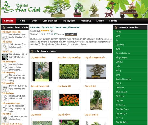 Cây cảnh – Cây cảnh đẹp – Bonsai – Thế giới Hoa cảnh – Giới thiệu web