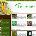 Y học Việt Nam – Blog sức khỏe – Giới thiệu web